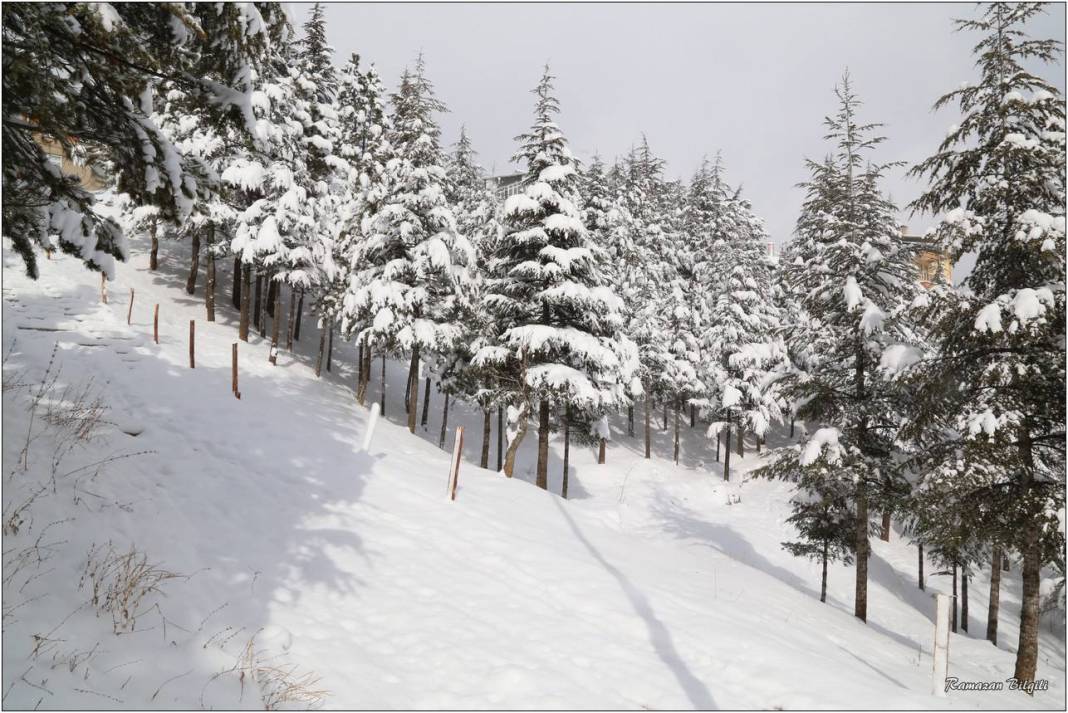 Konya’nın karla kaplı ilçesinden kartpostallık kareler 40